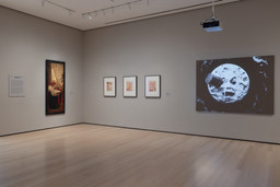 Installation photo, 1 of 13
