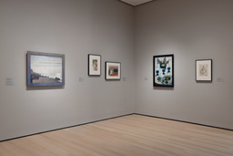 Installation photo, 2 of 13
