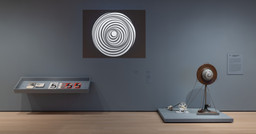 Installation photo, 8 of 17