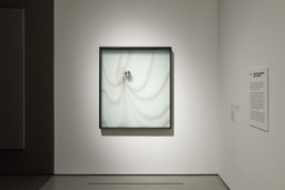 Installation photo, 1 of 13