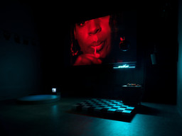 Installation photo, 9 of 17