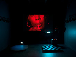 Installation photo, 10 of 17