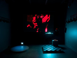 Installation photo, 11 of 17