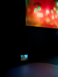 Installation photo, 15 of 17