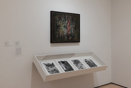 Installation photo, 11 of 13