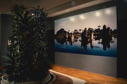 Installation photo, 12 of 18