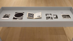 Installation photo, 13 of 15