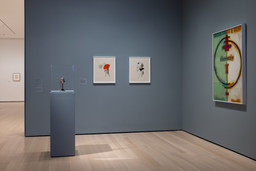 Installation photo, 15 of 17