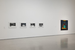Installation photo, 6 of 12