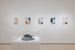 Installation photo, 8 of 9