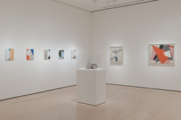 Installation photo, 5 of 9