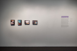 Installation photo, 17 of 29