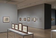 Cézanne Drawing. Jun 6–Sep 25, 2021.