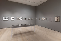 409: Gordon Parks and “The Atmosphere of Crime”. Spring 2020–Spring 2022. 9 other works identified