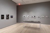 409: Gordon Parks and “The Atmosphere of Crime”. Spring 2020–Spring 2022. 10 other works identified