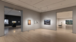 Installation photo, 9 of 9