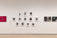 Our Selves: Photographs by Women Artists from Helen Kornblum. Apr 16–Oct 10, 2022. 13 other works identified