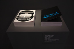 Installation photo, 3 of 8