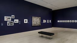 Installation photo, 3 of 8