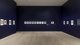 Installation photo, 6 of 8
