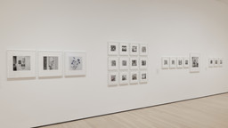 Installation photo, 6 of 9