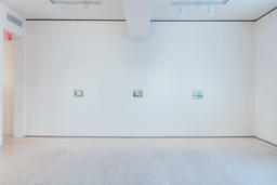 Installation photo, 14 of 92
