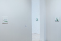 Installation photo, 36 of 92