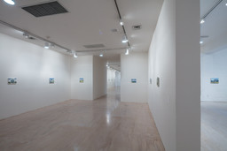 Installation photo, 50 of 92
