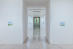 Installation photo, 8 of 92