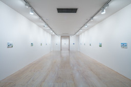 Installation photo, 83 of 92