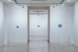 Installation photo, 84 of 92