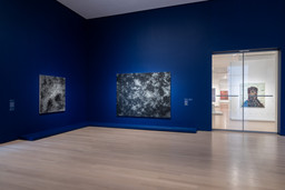 Installation photo, 3 of 125