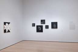 Installation photo, 14 of 125