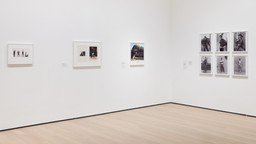 Installation photo, 14 of 18