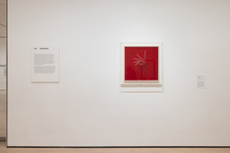 Installation photo, 5 of 8