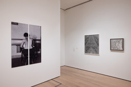 Installation photo, 47 of 80