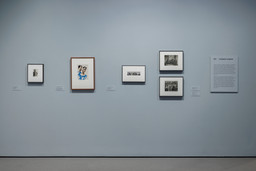 Installation photo, 13 of 14
