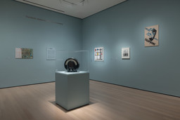 Installation photo, 15 of 17