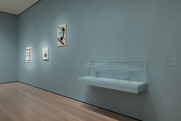 Installation photo, 16 of 17