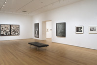 Photography: Inaugural Installation. Nov 20, 2004–Jun 6, 2005. 2 other works identified