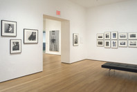 Photography: Inaugural Installation. Nov 20, 2004–Jun 6, 2005. 2 other works identified