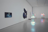 Contemporary: Inaugural Installation. Nov 20, 2004–Jul 11, 2005. 4 other works identified