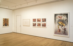 Installation photo, 19 of 20