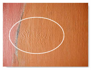 Fig. 2-Example of Paint Blistering