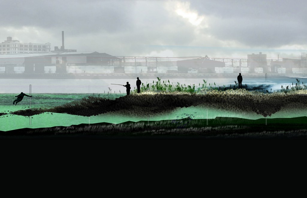 SCAPE Diagram Section