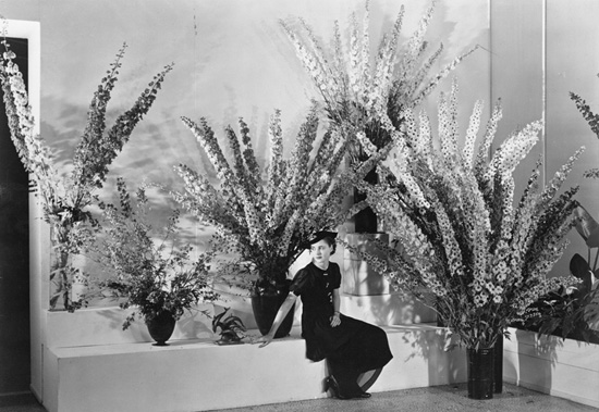 Delphinium Exhibit, 1936