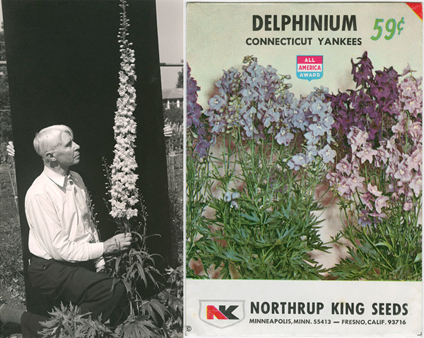 Steichen Carl Sandburg with the "Carl Sandburg" delphinium (c. 1938), Umpawaug House (Redding, Connecticut). Photo by Edward Steichen. Gelatin silver print. Seed packet of "Delphinium Connecticut Yankees," bred by Edward Steichen (c. 1973)