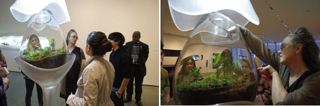 From left: Art and Science Teens viewing the installation with the artist Paula Hayes; Paula points out details in her work