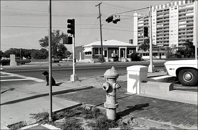 Friedlander_Albuquerque Friedlander_Albuquerque