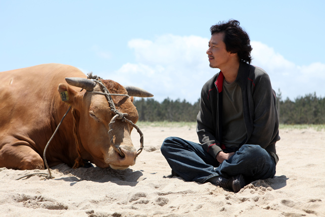 Rolling Home with a Bull. 2010. South Korea. Directed by Lim Soon-rye from the novel by Kim Do-yeon.